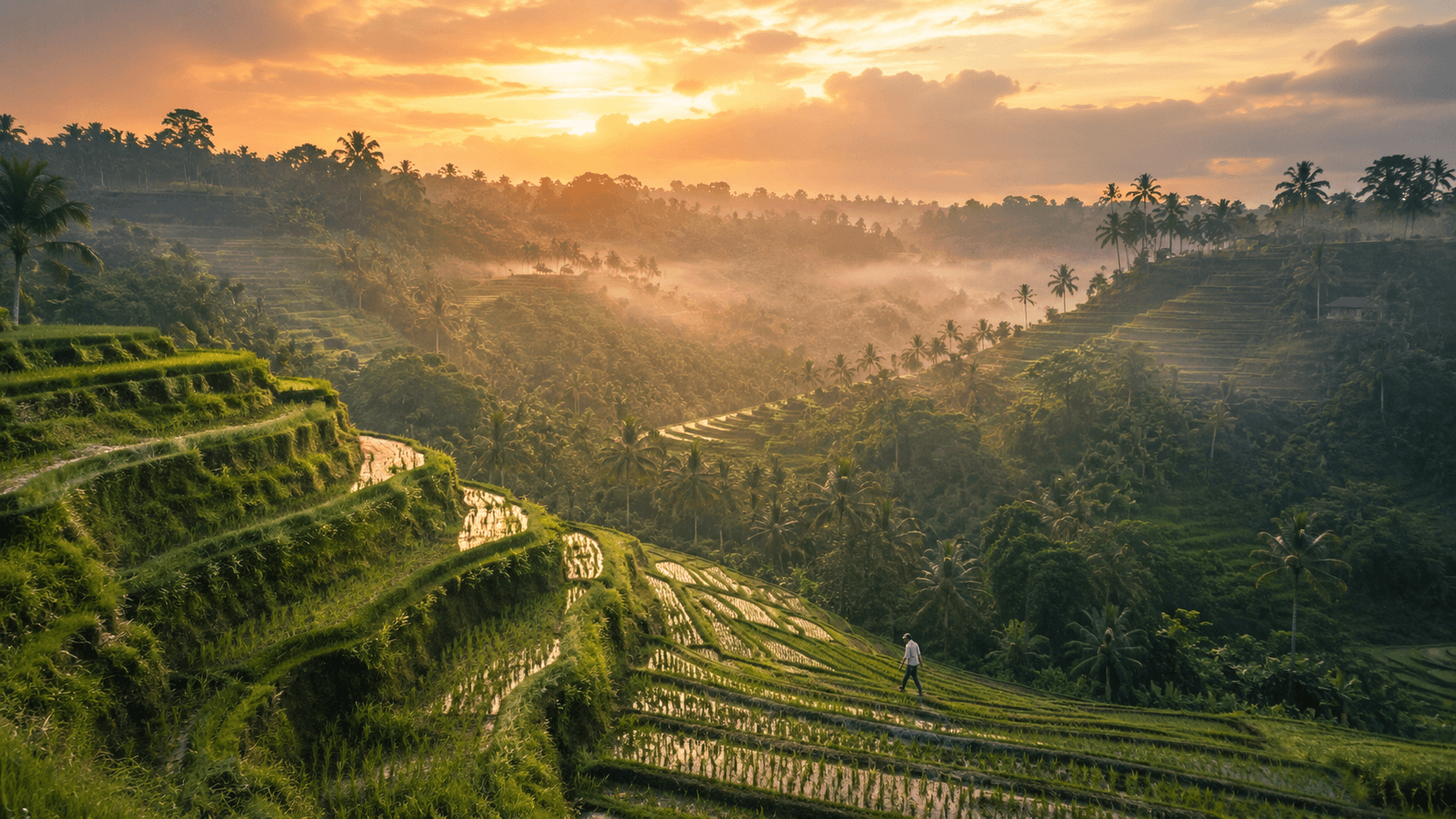Bali Culture & Coast 3